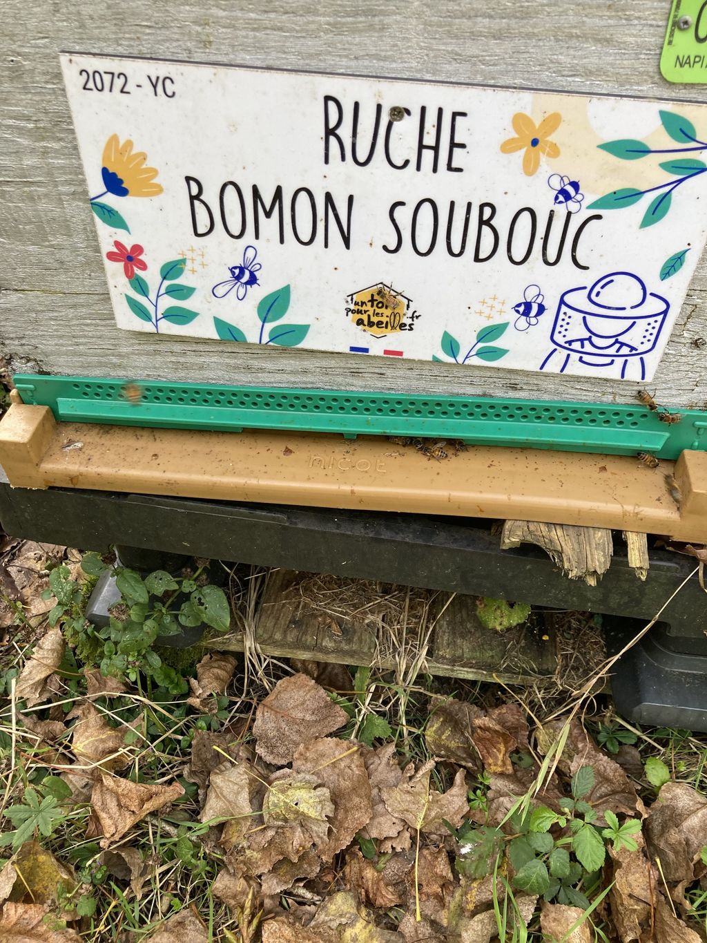 La ruche Bomon Soubouc