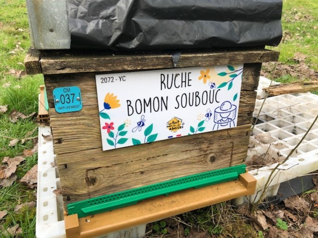 La ruche Bomon Soubouc