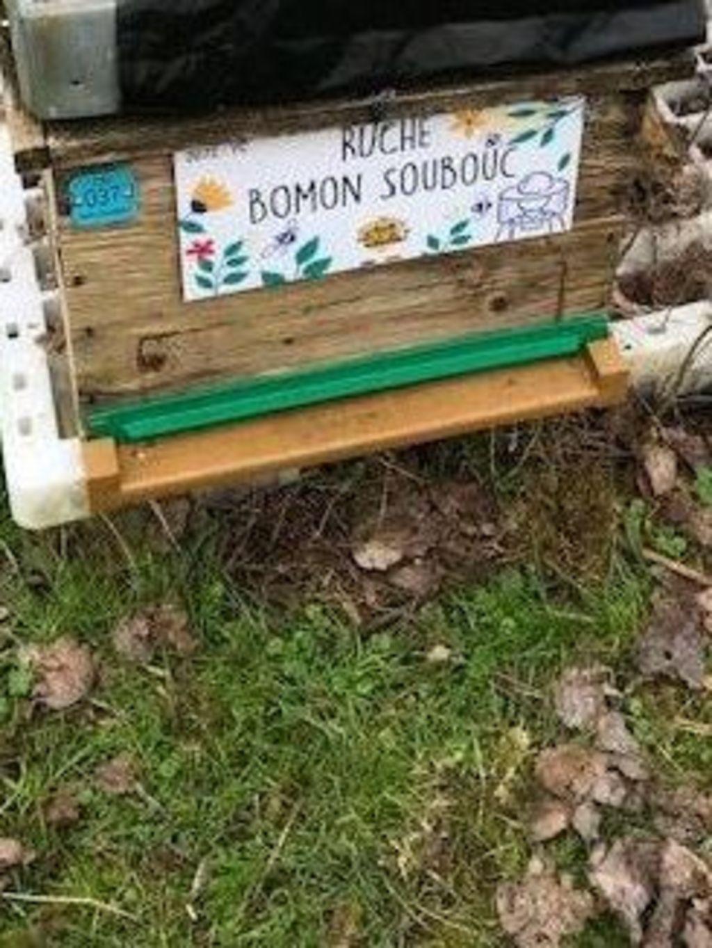 La ruche Bomon Soubouc