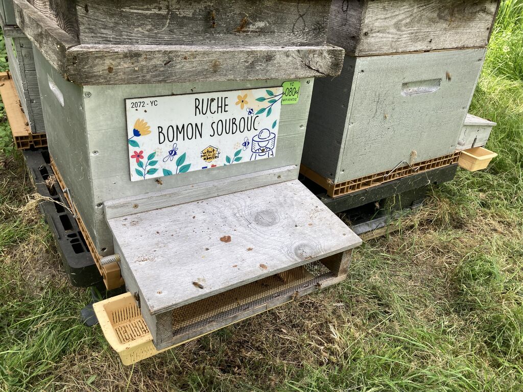 La ruche Bomon Soubouc