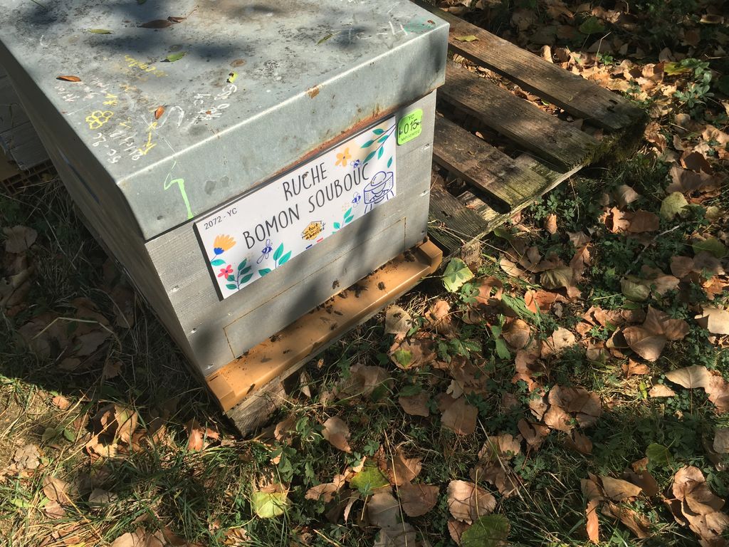 La ruche Bomon Soubouc