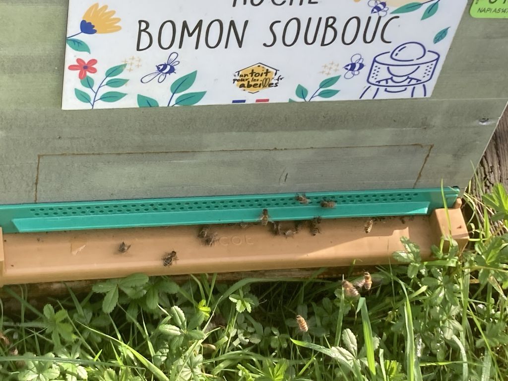 La ruche Bomon Soubouc