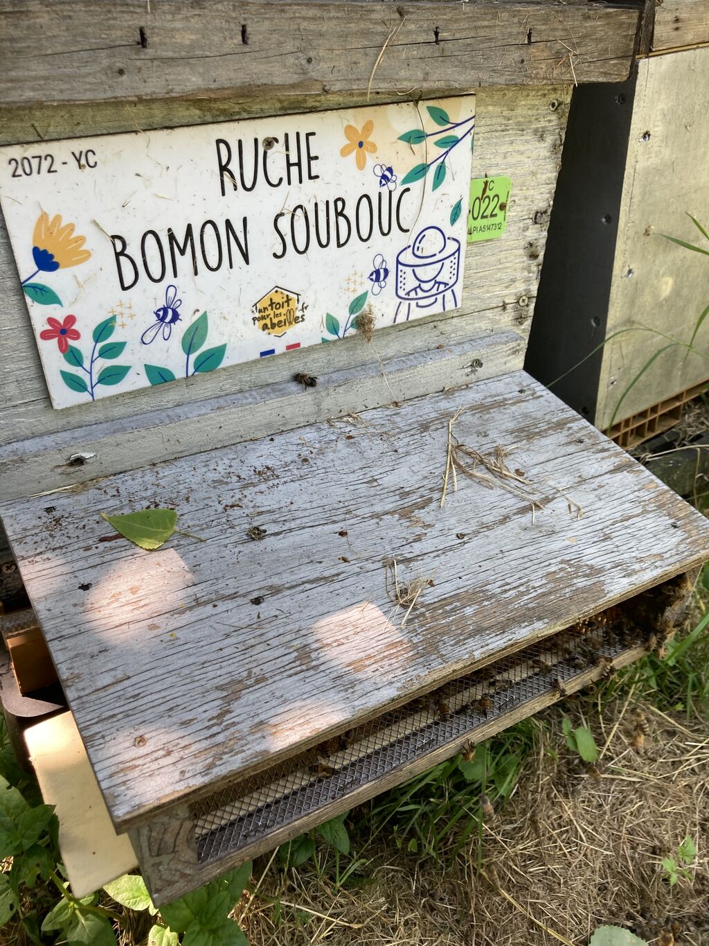 La ruche Bomon Soubouc