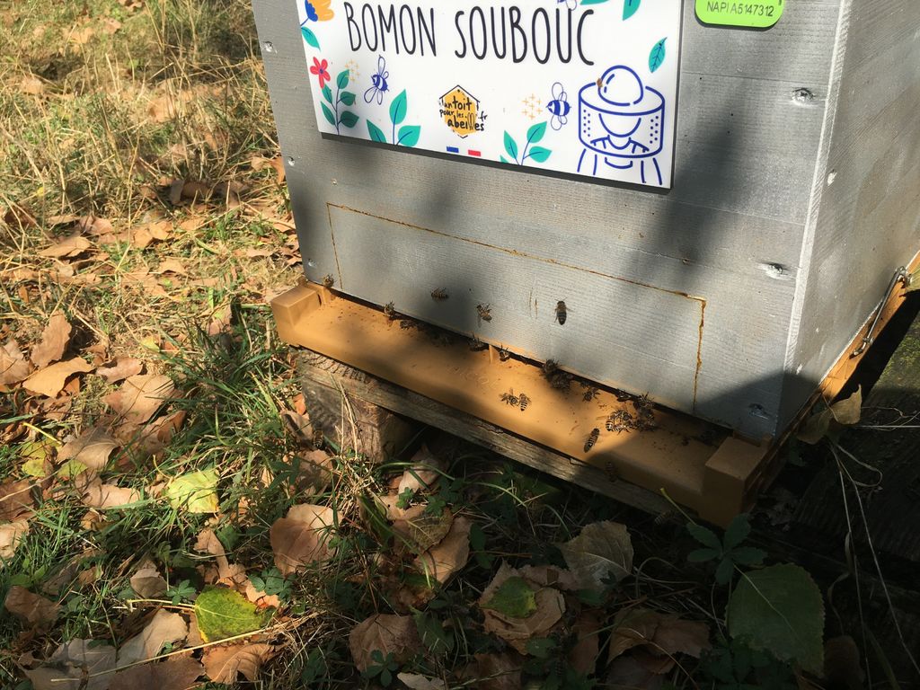 La ruche Bomon Soubouc