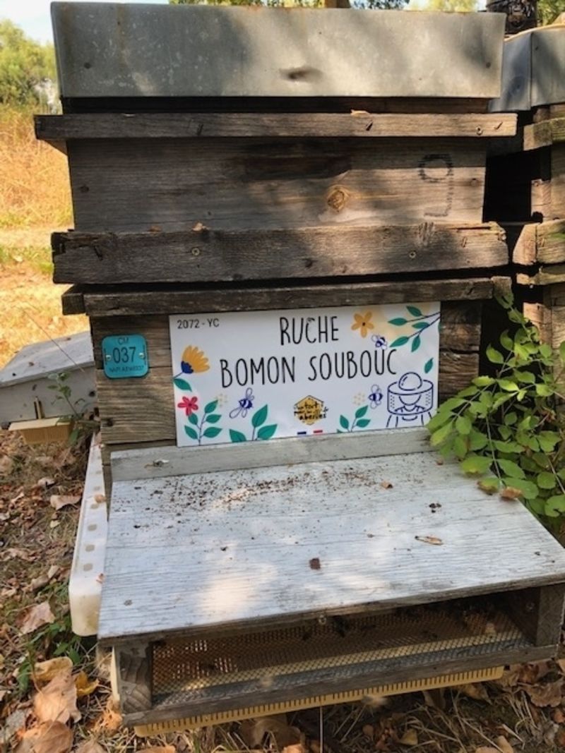 La ruche Bomon Soubouc