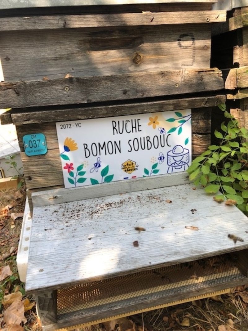 La ruche Bomon Soubouc