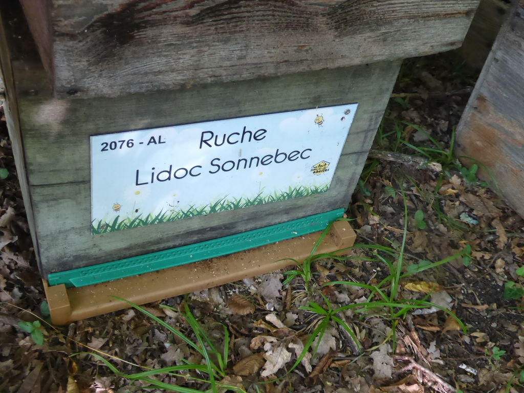 La ruche Lidoc Sonnebec