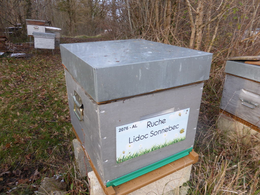 La ruche Lidoc Sonnebec