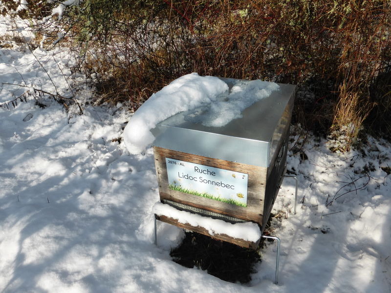 La ruche Lidoc Sonnebec