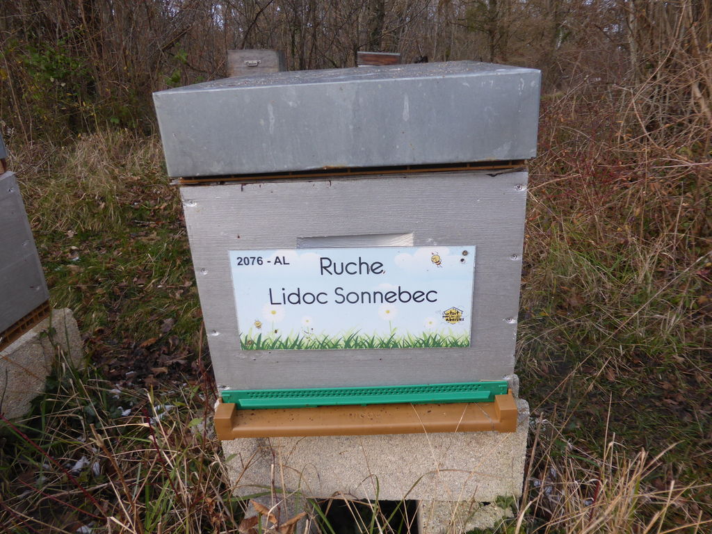 La ruche Lidoc Sonnebec