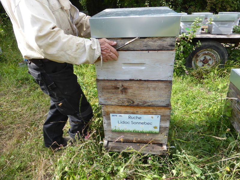 La ruche Lidoc Sonnebec
