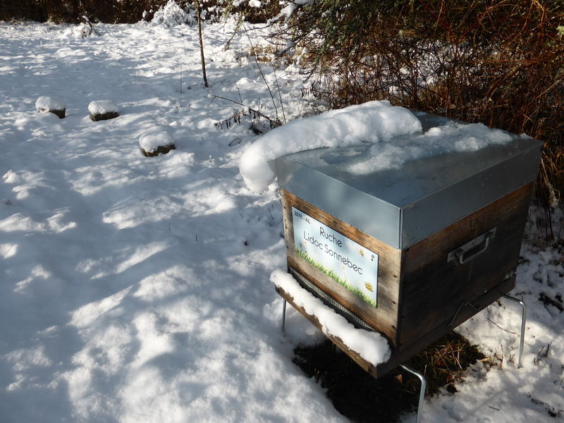 La ruche Lidoc Sonnebec