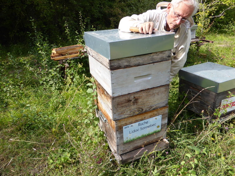 La ruche Lidoc Sonnebec