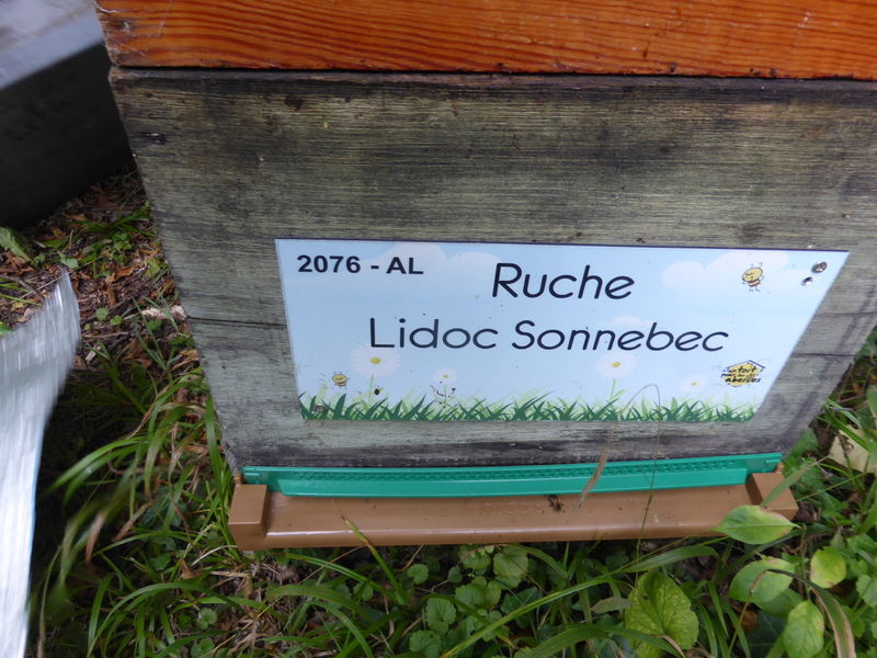 La ruche Lidoc Sonnebec