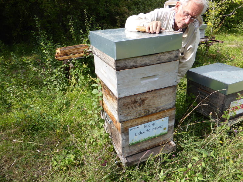La ruche Lidoc Sonnebec
