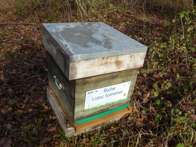 La ruche Lidoc Sonnebec