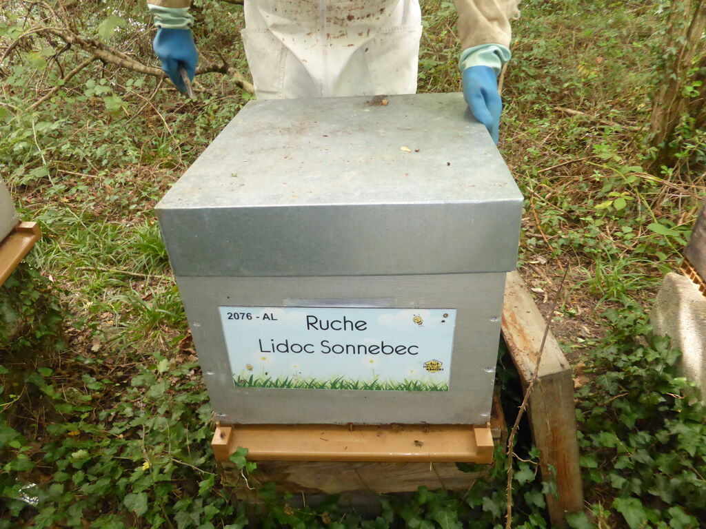 La ruche Lidoc Sonnebec