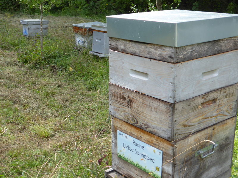 La ruche Lidoc Sonnebec