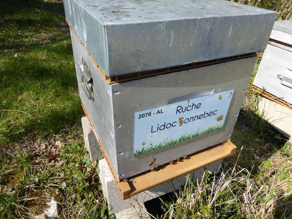 La ruche Lidoc Sonnebec