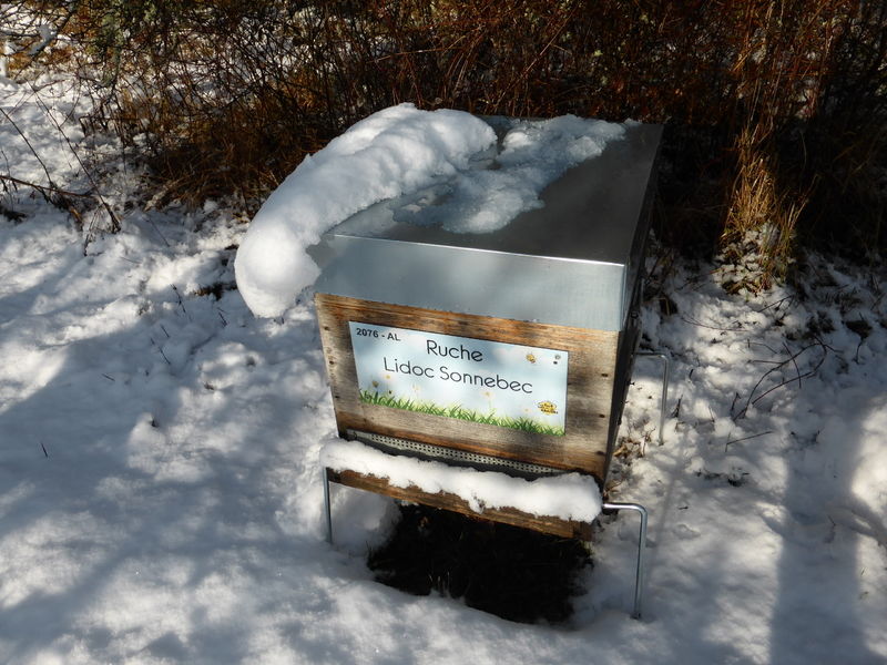 La ruche Lidoc Sonnebec