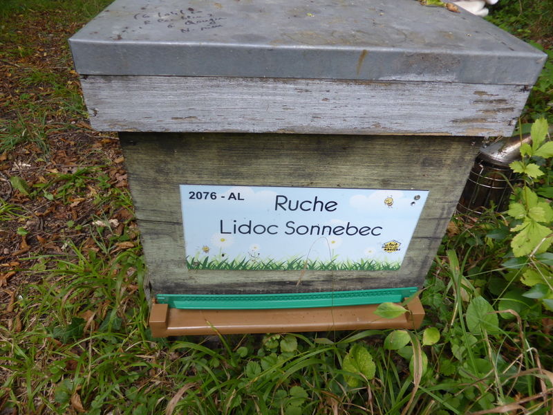 La ruche Lidoc Sonnebec