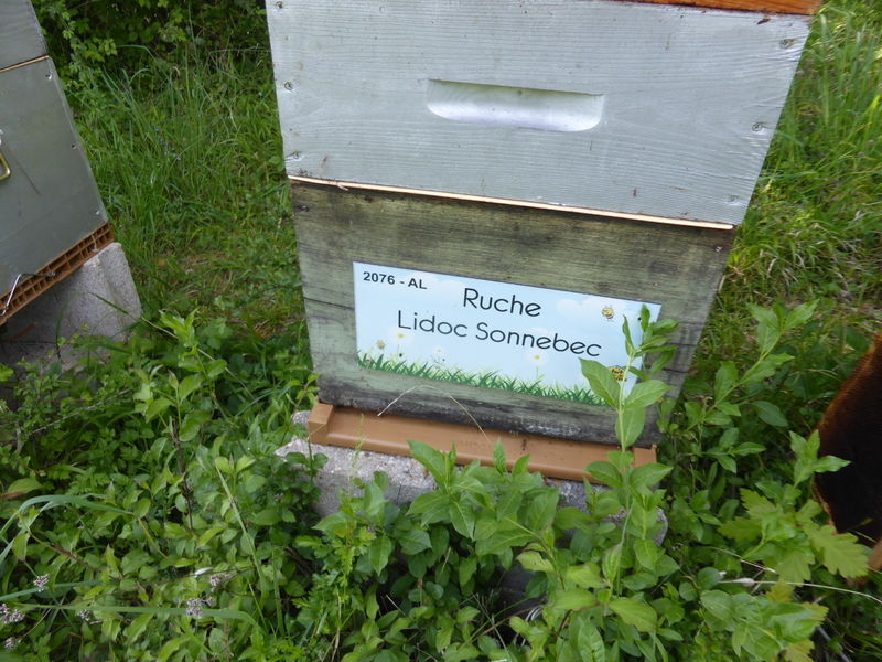 La ruche Lidoc Sonnebec
