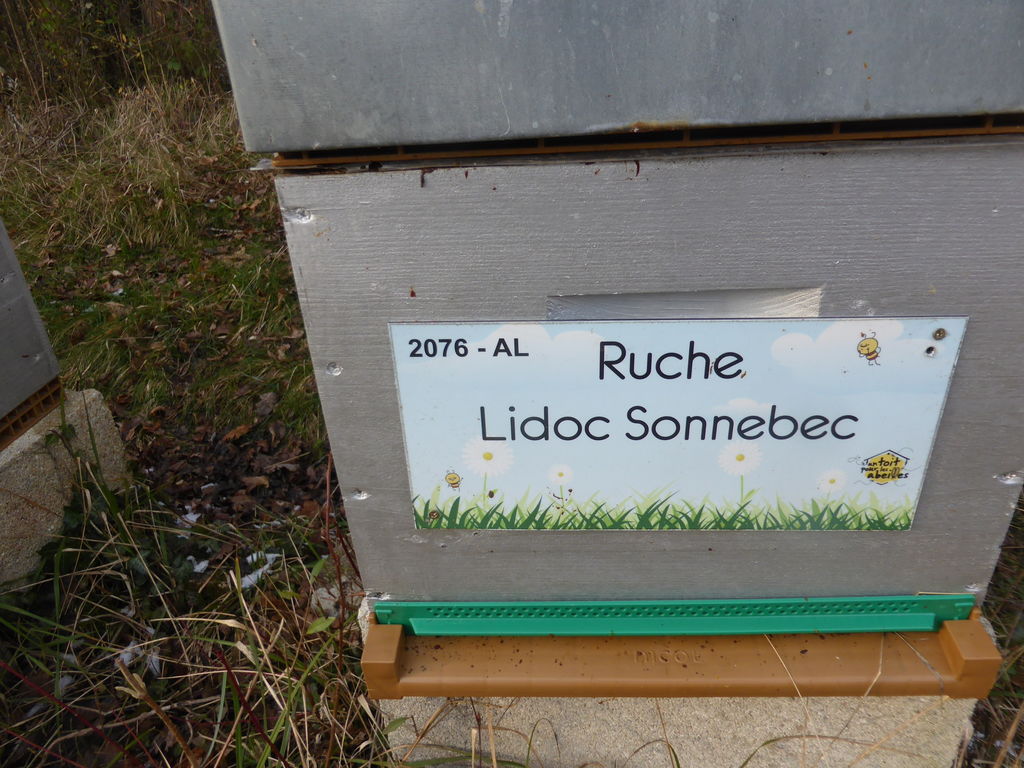 La ruche Lidoc Sonnebec