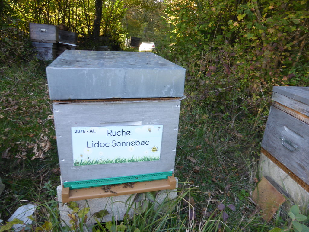 La ruche Lidoc Sonnebec