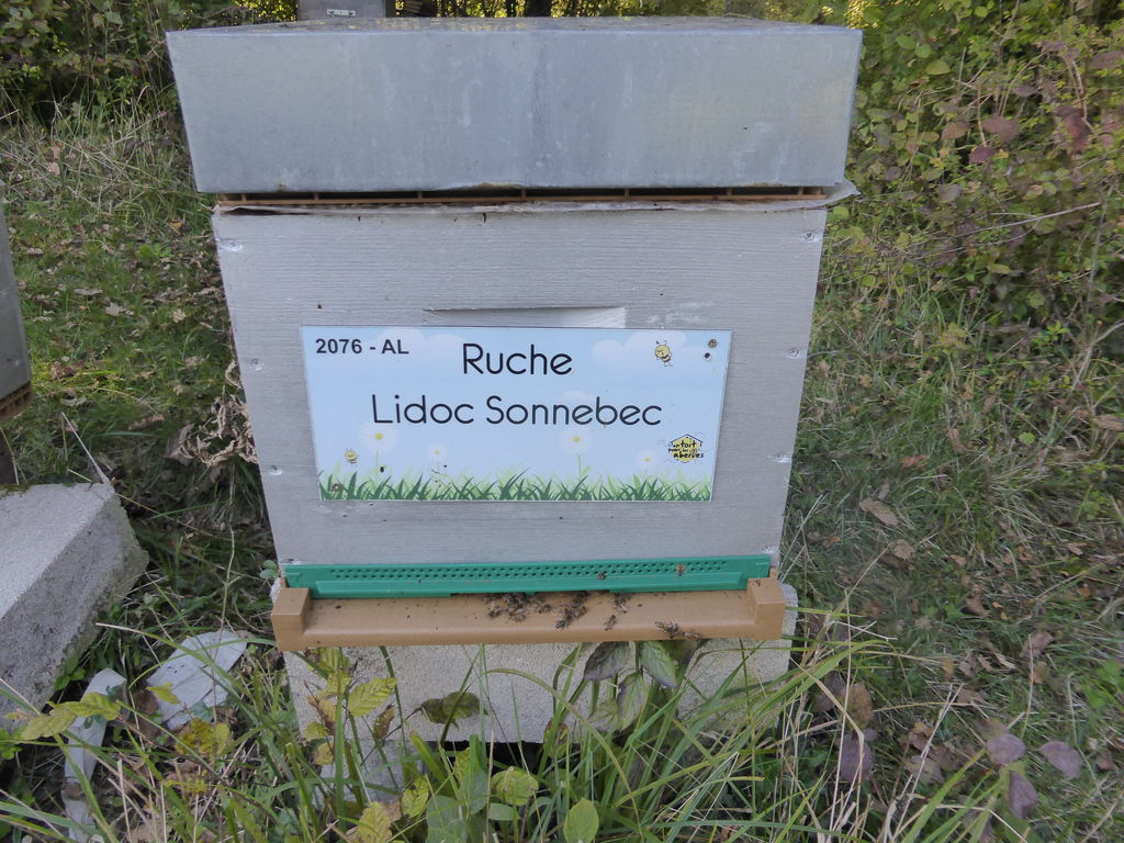 La ruche Lidoc Sonnebec