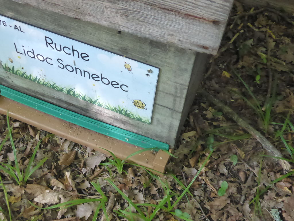 La ruche Lidoc Sonnebec