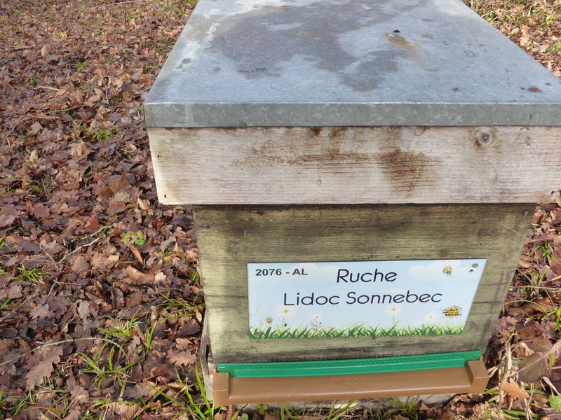 La ruche Lidoc Sonnebec