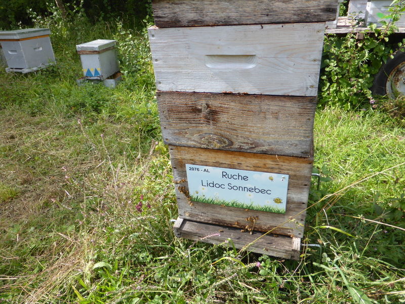 La ruche Lidoc Sonnebec