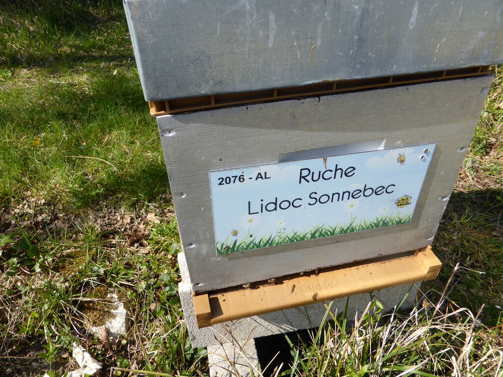 La ruche Lidoc Sonnebec