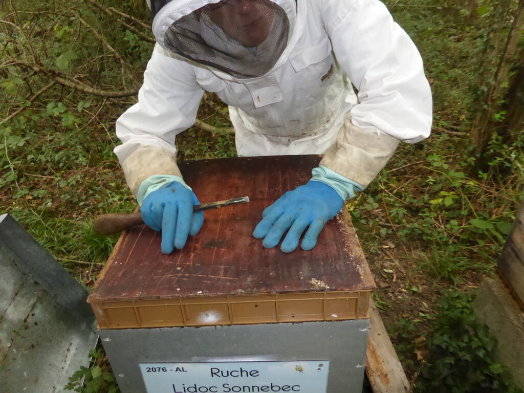 La ruche Lidoc Sonnebec