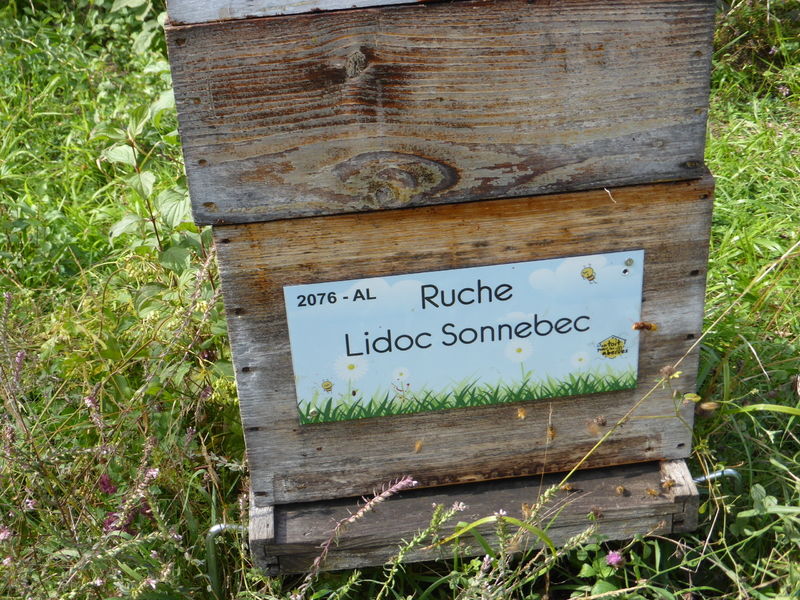 La ruche Lidoc Sonnebec