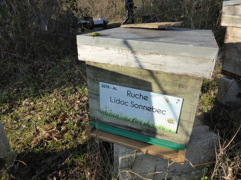 La ruche Lidoc Sonnebec