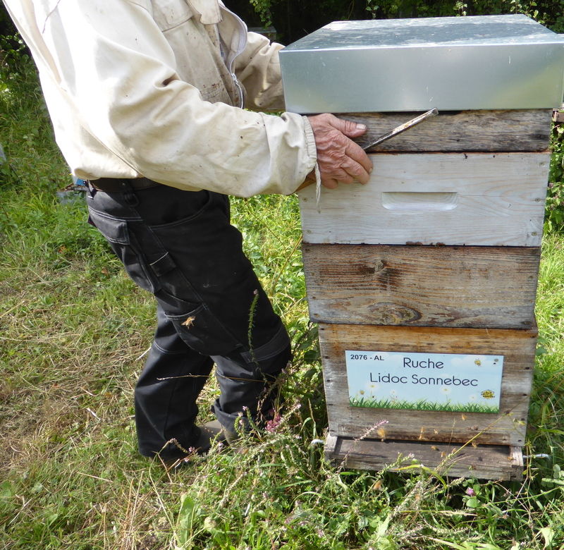 La ruche Lidoc Sonnebec