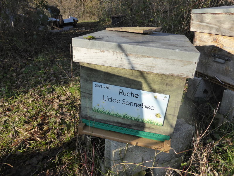 La ruche Lidoc Sonnebec