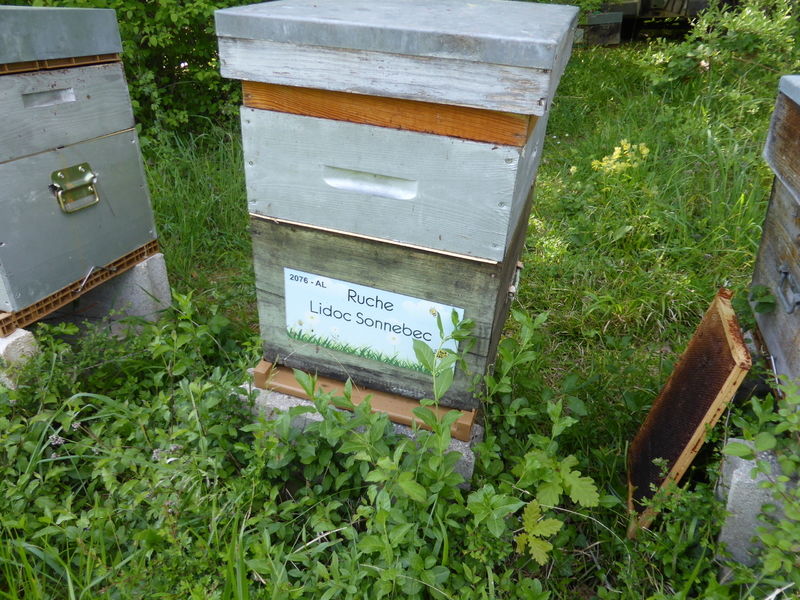 La ruche Lidoc Sonnebec