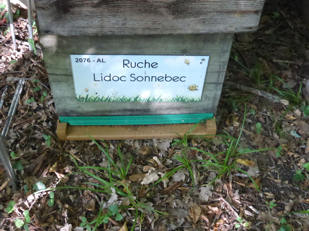 La ruche Lidoc Sonnebec