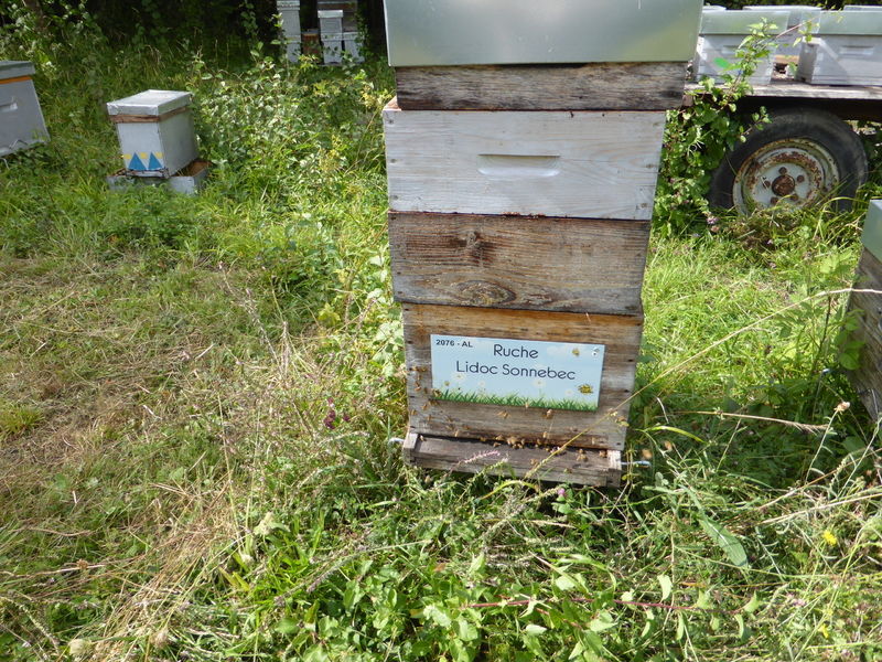 La ruche Lidoc Sonnebec