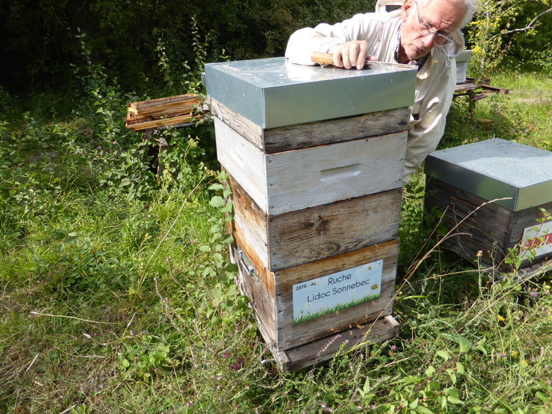 La ruche Lidoc Sonnebec