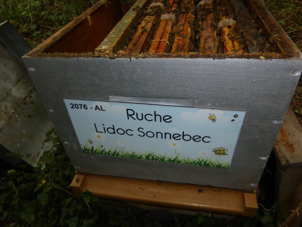 La ruche Lidoc Sonnebec