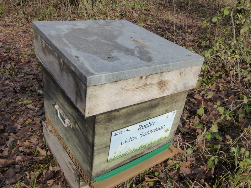 La ruche Lidoc Sonnebec