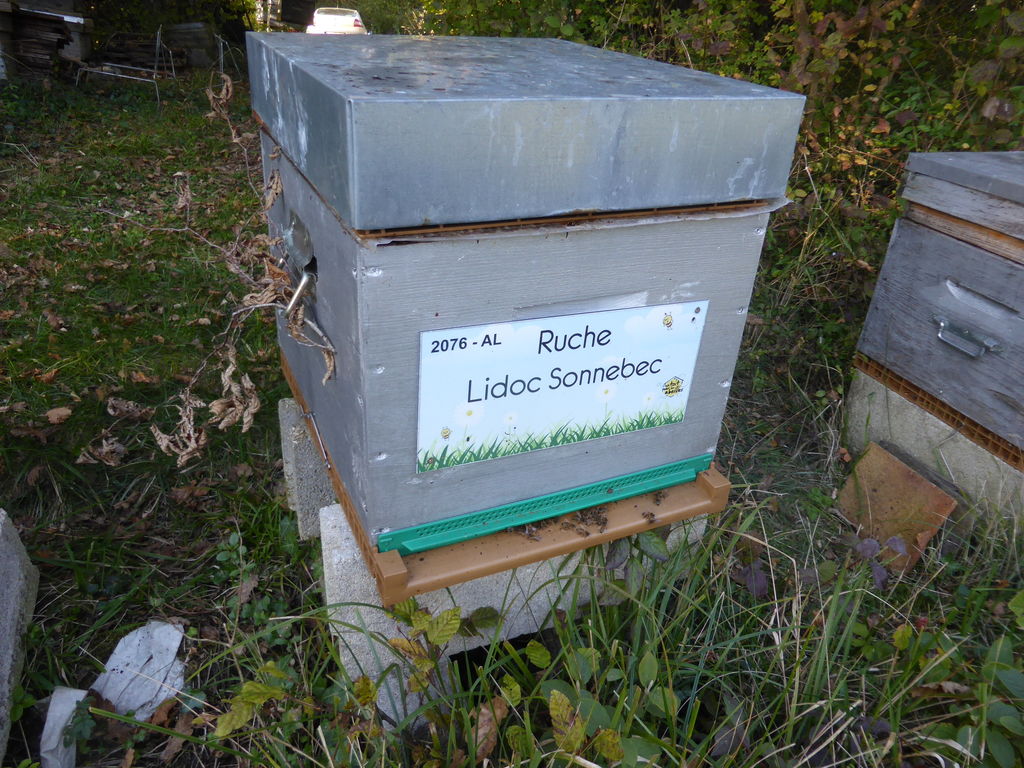 La ruche Lidoc Sonnebec