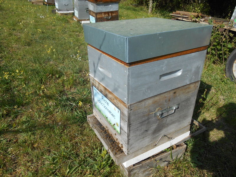 La ruche Lidoc Sonnebec