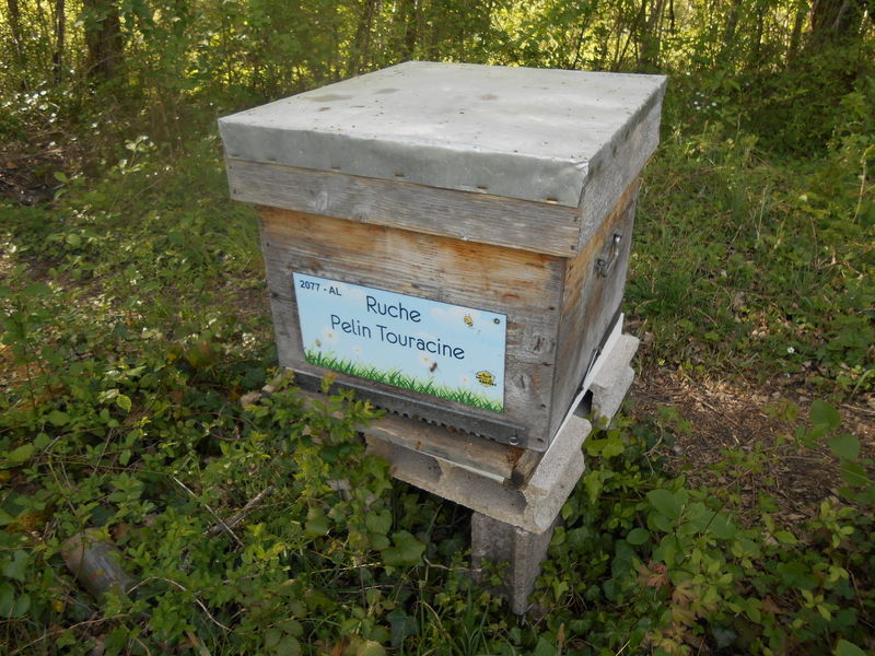 La ruche Pelin Touracine
