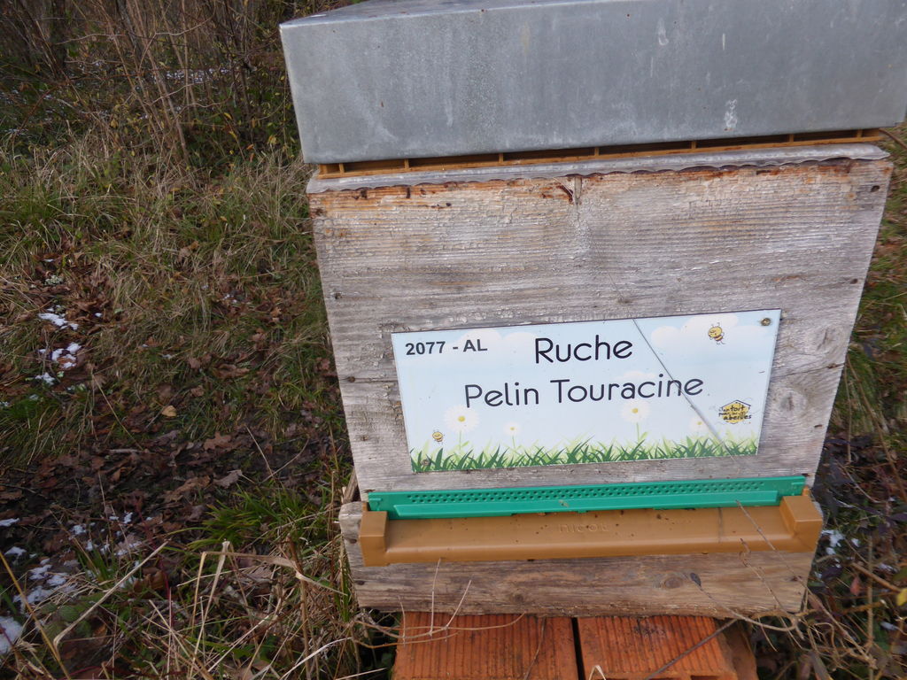 La ruche Pelin Touracine
