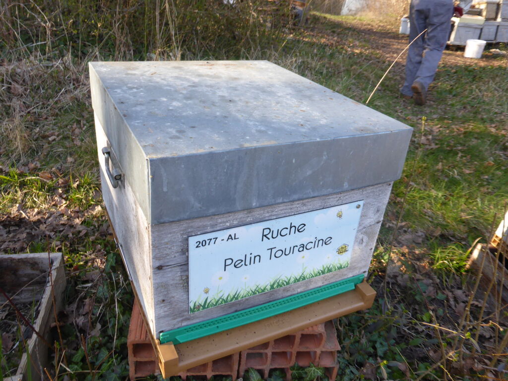 La ruche Pelin Touracine
