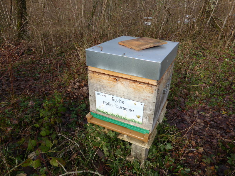 La ruche Pelin Touracine